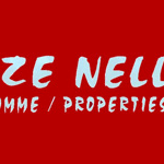 Elize Nel Properties