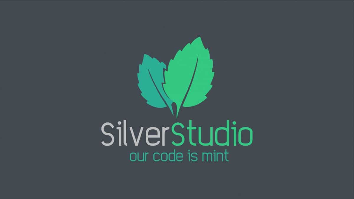 Silver Studio Web Development & Hosting Service Provider Cape Town