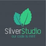 Silver Studio Web Development & Hosting Service Provider Cape Town