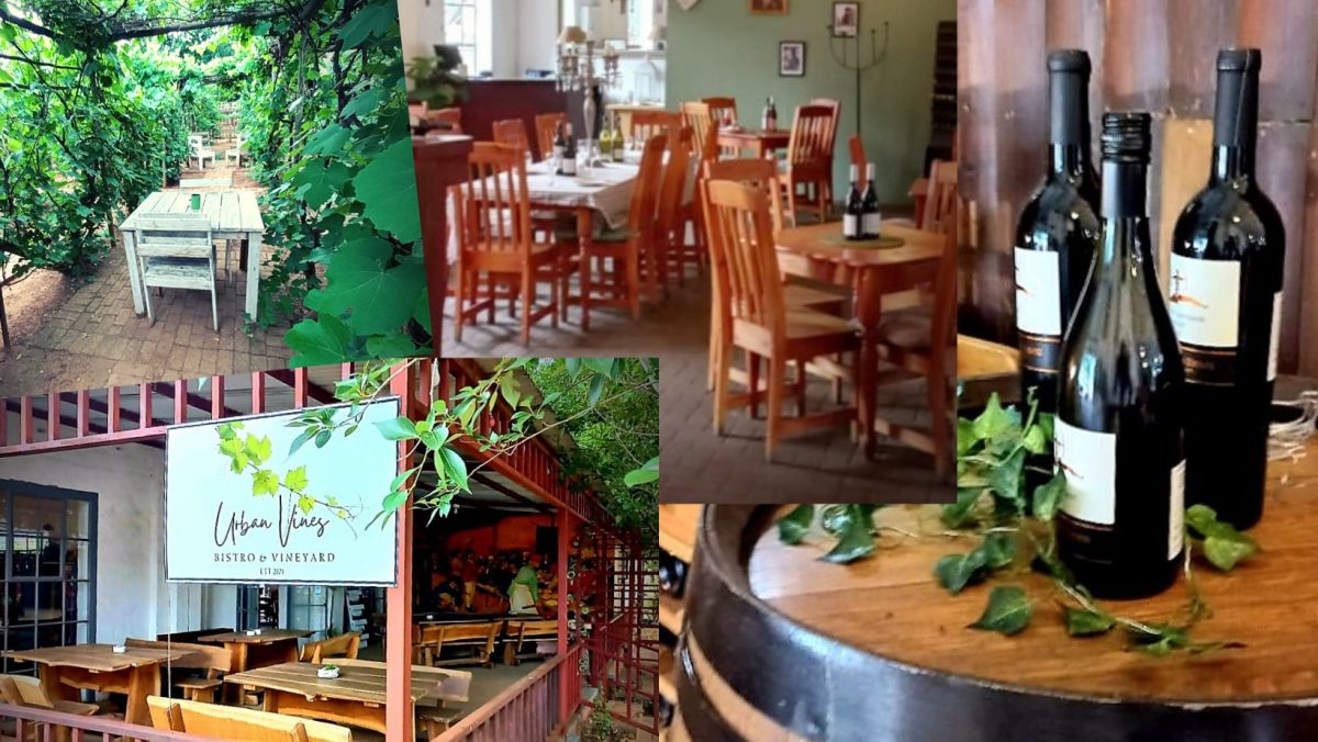 Urban Vines Bistro and Vineyard
