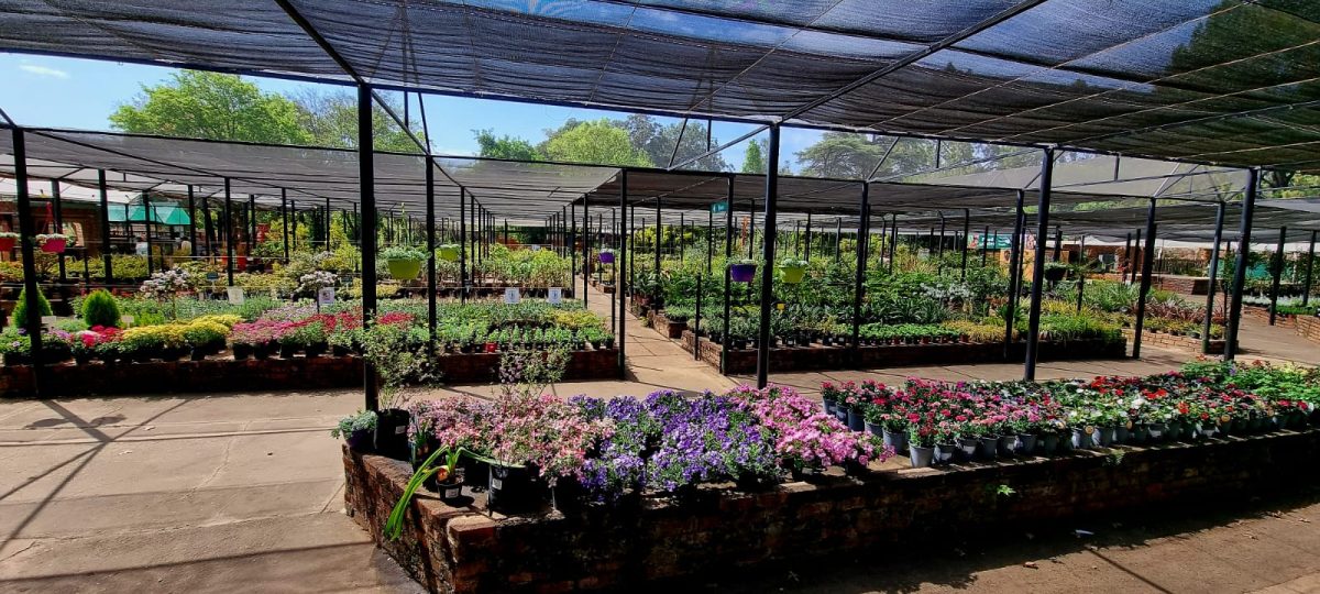 Brandmullers Garden Centre 1
