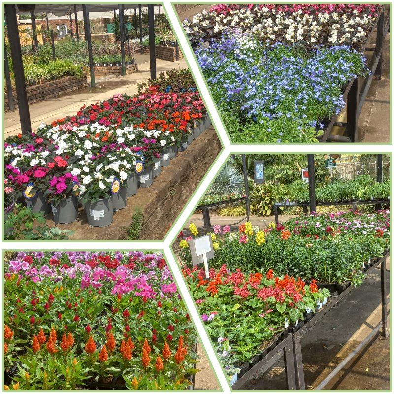 Brandmullers Garden Centre