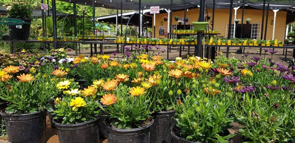 Brandmullers Garden Centre