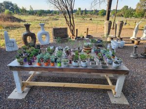 The Stuff Hub Vaalpark 6