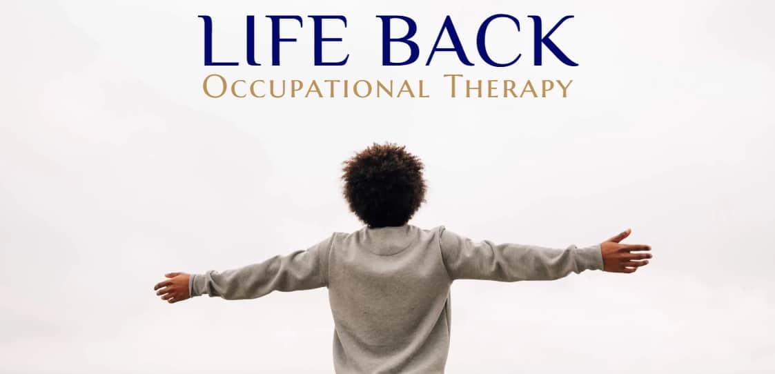 Life Back Occupational Therapy Vanderbijlpark