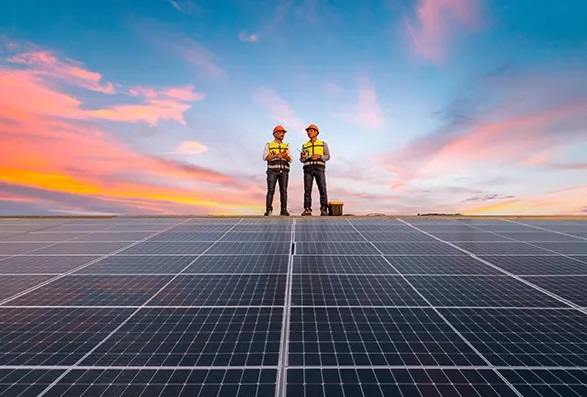 Green Leaf Importers Pretoria