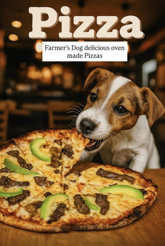 The Farmer's Dog Pub & Eatery Vereeniging 2