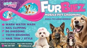 Furbiez 1